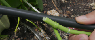 How to install a drip irrigation system at home?