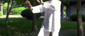 What are the health benefits of tai chi for seniors?
