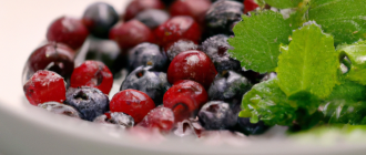 What is the role of antioxidants in health?