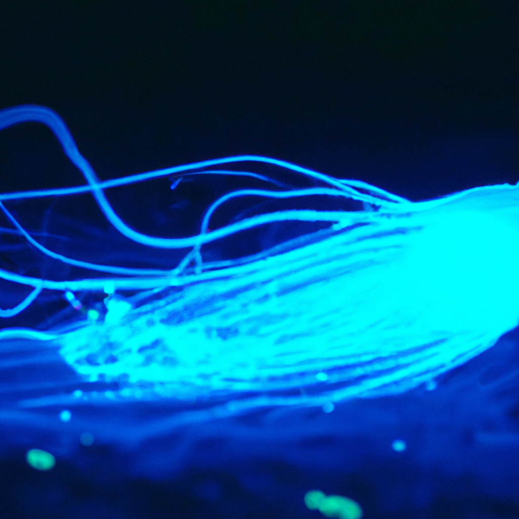 How do bioluminescent organisms produce light?