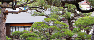 What are the principles of Japanese garden design?