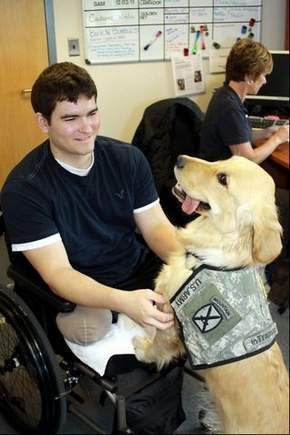 service dog and his new owner