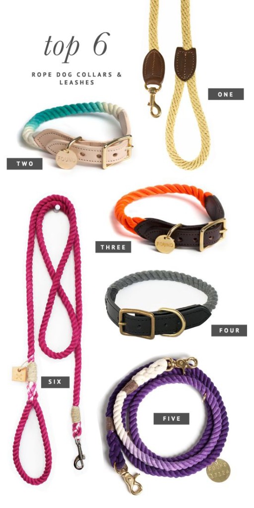 top leashes for dogs