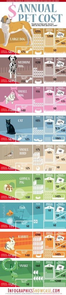 annual pet cost