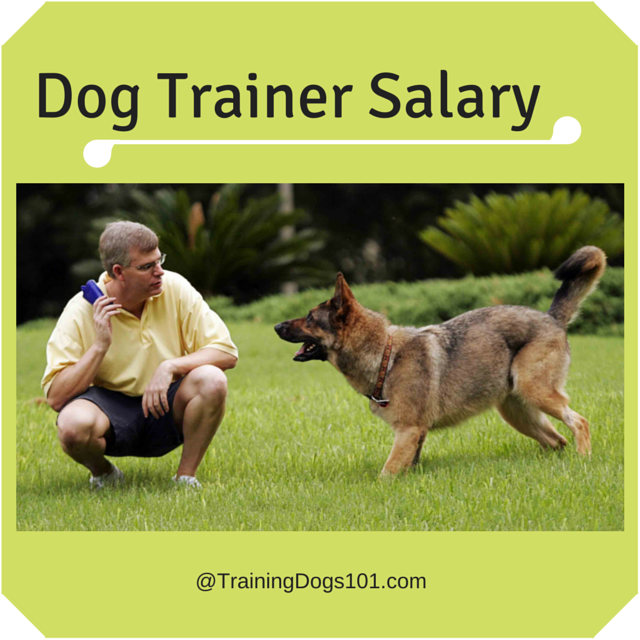 service dog trainer salary
