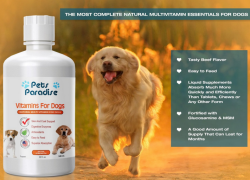 Your Guide to Using Vitamins for Dogs. Is It Safe to Use Dog Vitamins? Are Dog Supplements Effective? Which Specific Vitamins Does Your Dog Need?