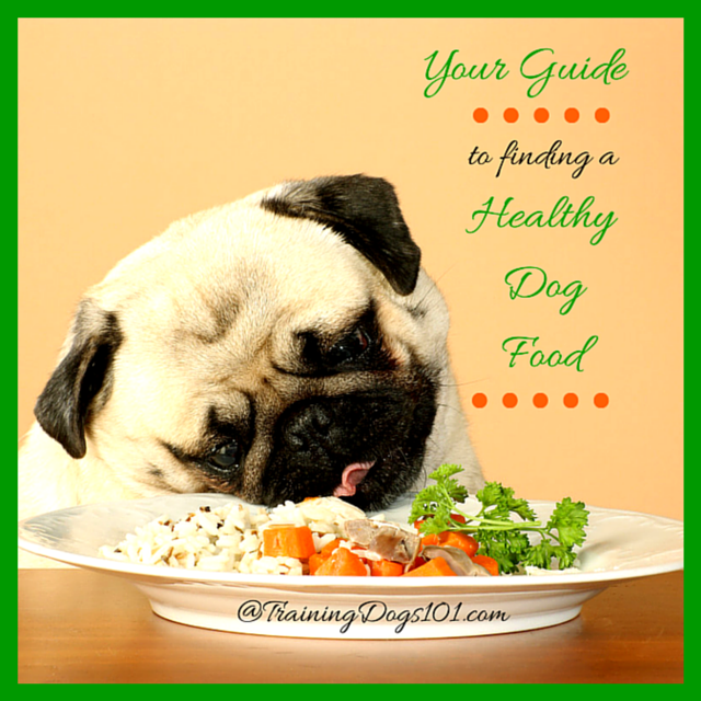 healthy dog food