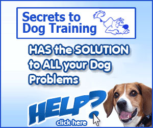  - - Training Dogs