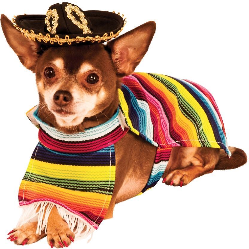 Mexican Dog Costumes