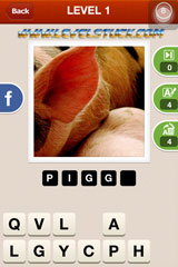 Hi Guess the Pic Answers Level 1 2 3 for iOS