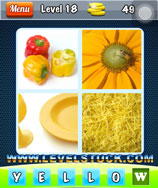 Photo Puzzle - 4 Pictures 1 Word Answers Level 1 - 80