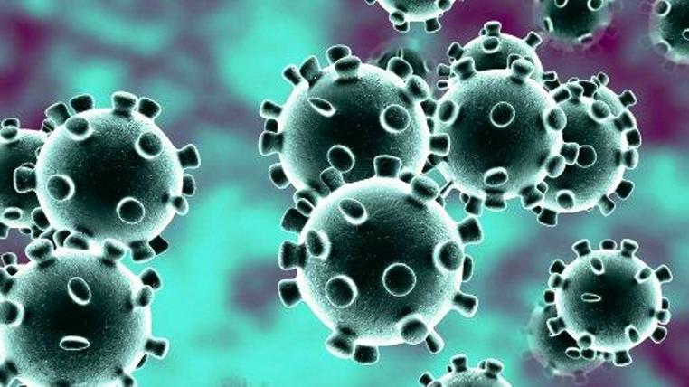 Вакцина от коронавируса в разработке